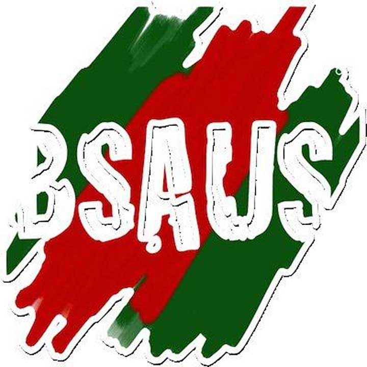 bsauslogo.jpg